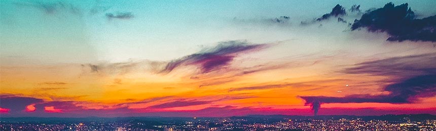 石狮茶虫网_石狮品茶